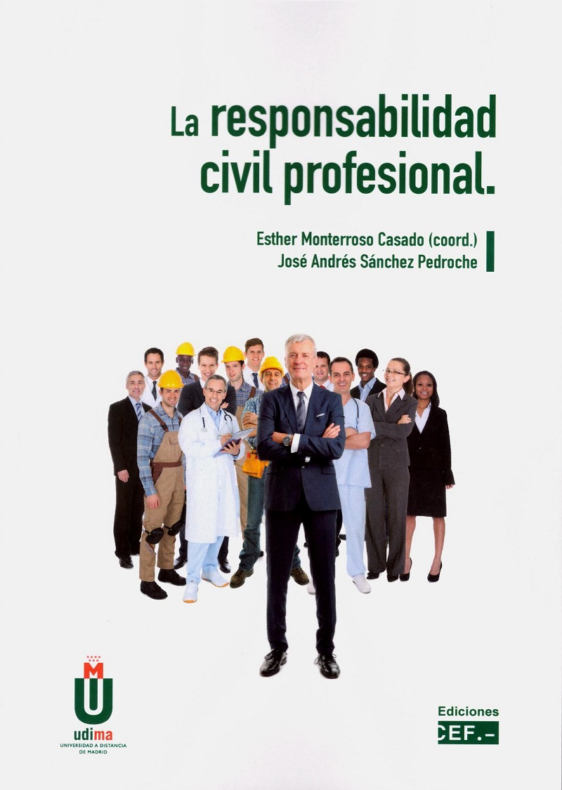 Responsabilidad Civil Profesional -0