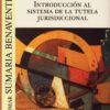 Introducción al Sistema de la Tutela Jurisdiccional -0