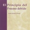 Principio del Proceso Debido -0