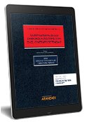 Teoría General de los Derechos Fundamentales en el Contrato de Trabajo Ebook -0