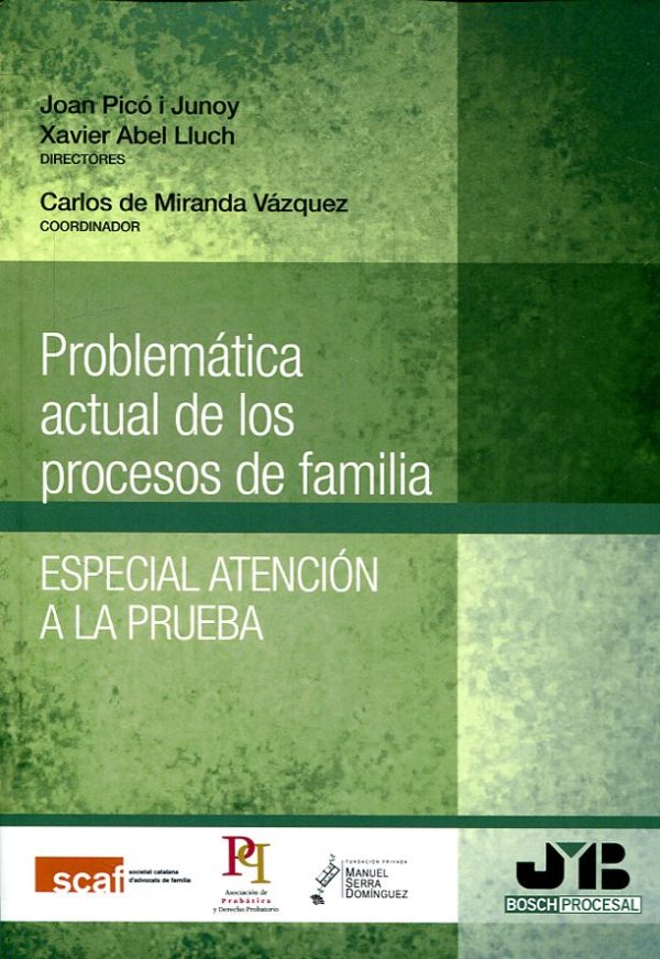 Problemática actual de los procesos de familia. Especial atención a la prueba-0