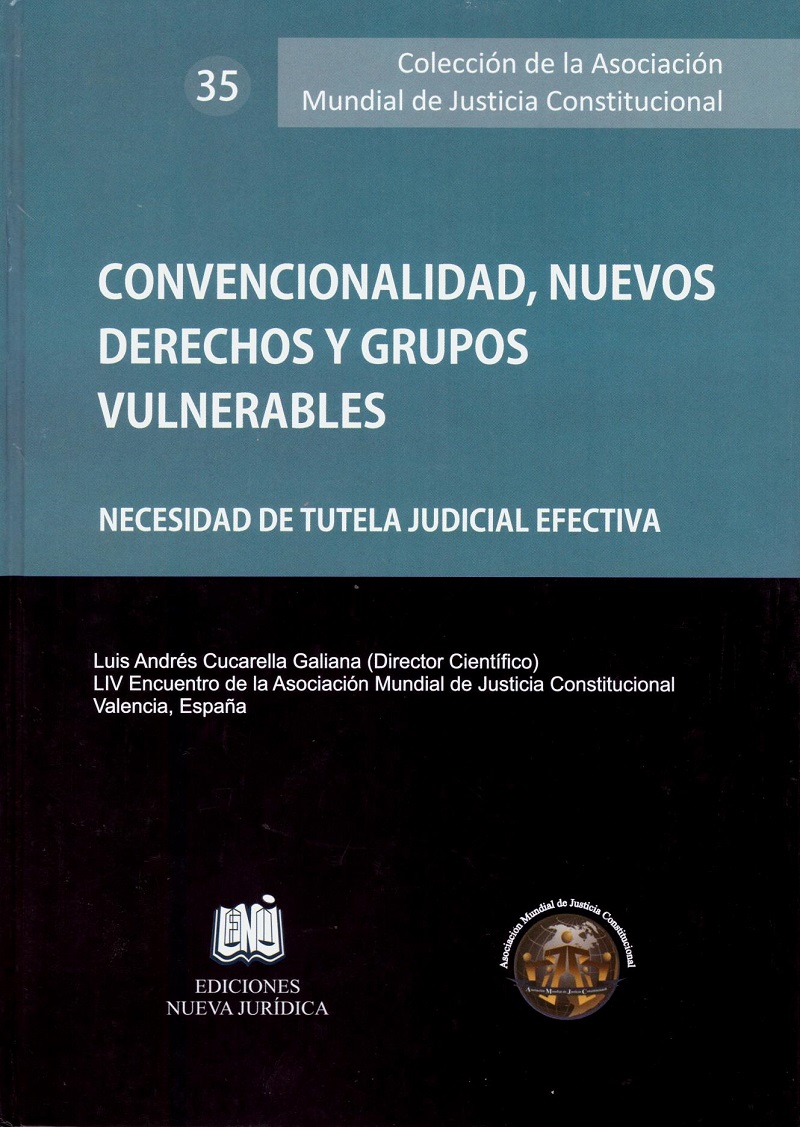 Convencionalidad, Nuevos Derechos y Grupos Vulnerables. Necesidad de Tutela Judicial Efectiva-0