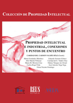 Propiedad Intelectual e Industrial, Conexiones y Puntos de Encuentro -0