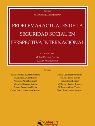 Problemas actuales Seguridad Social perspectiva internacional