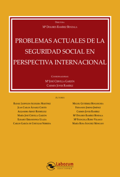 Problemas actuales Seguridad Social perspectiva internacional