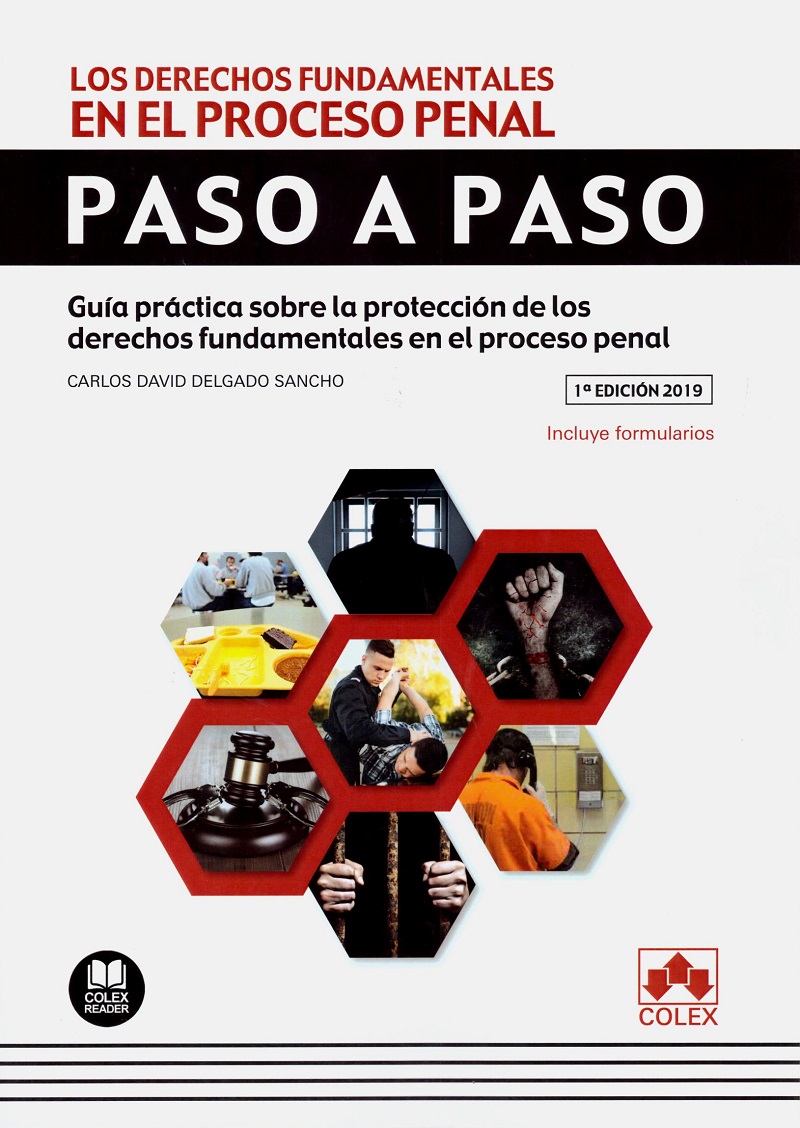 Derechos Fundamentales en el Proceso Penal Paso a Paso. Guía Práctica sobre la Protección delos Derechos Fundamnetales en el Proceso Penal-0