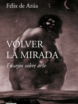 Volver la mirada. Ensayos sobre arte