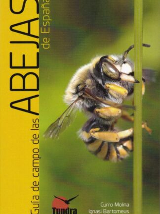 Guía de campo de las abejas de España