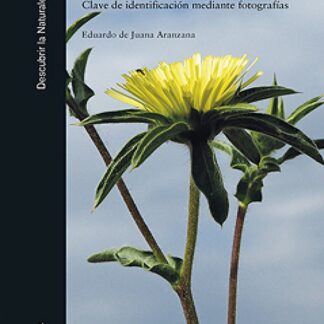 Plantas silvestres de Madrid. Clave de identificación mediante fotografías