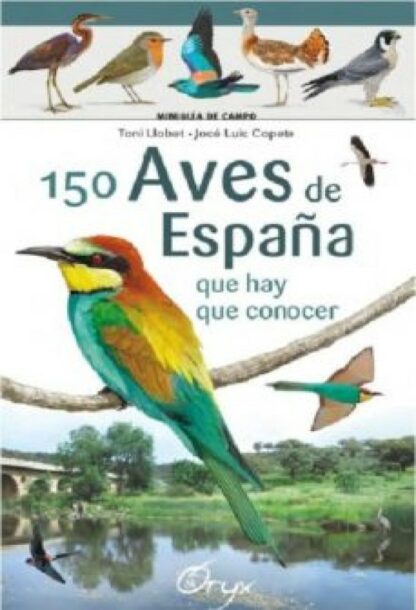 150 aves de España que hay que conocer