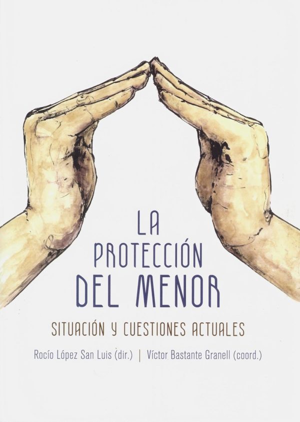 Protección del menor. Situación y cuestiones actuales -0