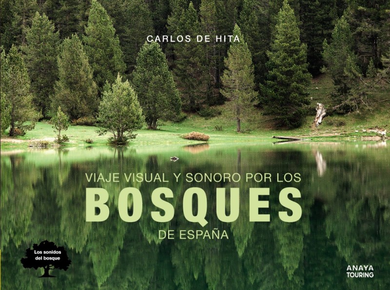 Viaje visual y sonoro por los bosques de España -0