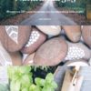 Naturaleza 365. Proyectos DIY para conectar con la naturaleza todo el año-0
