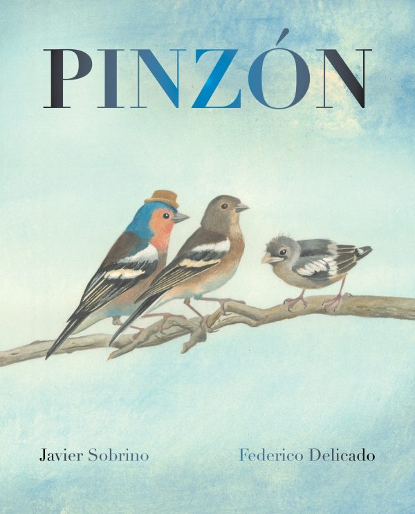 Pinzón -0