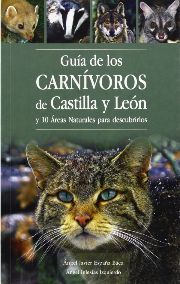 Guía de los carnívoros de Castilla y León y 10 áreas naturales para descubrirlos-0