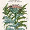 El eino ignorado. Una sorprendente visión del maravilloso mundo de las plantas-0