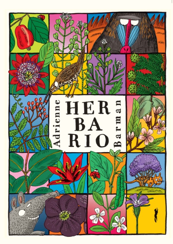 Herbario -0