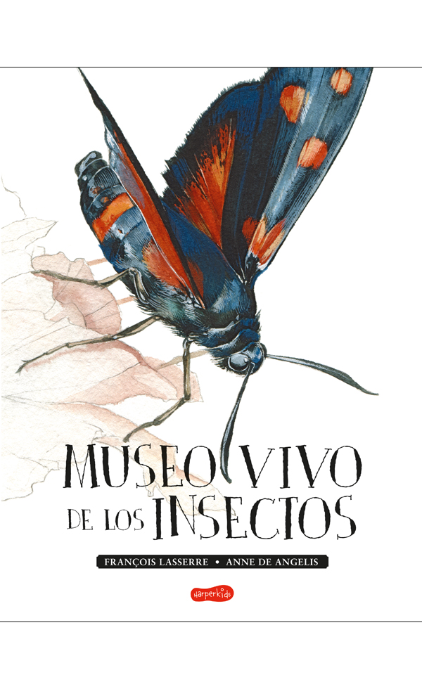 Museo vivo de los insectos -0