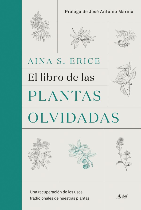 El libro de las plantas olvidadas Una recuperación de los usos tradicionales de nuestras plantas-0