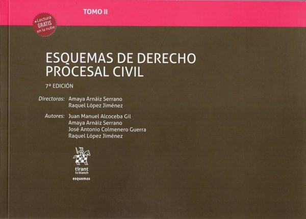 Esquemas de derecho procesal civil. Tomo II 2019 -0