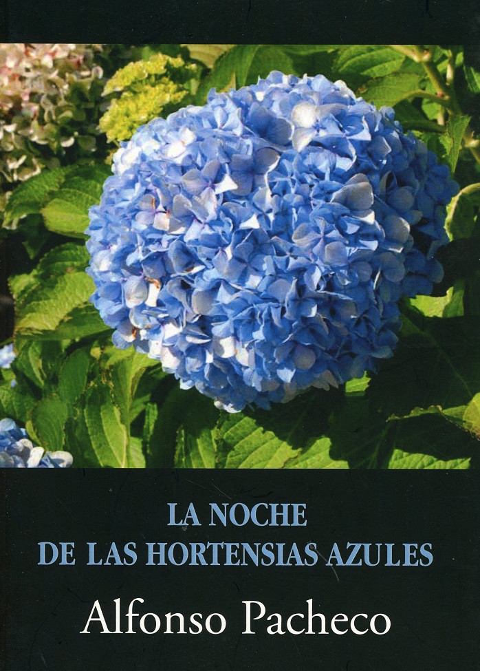 Noche de las hortensias azules -0