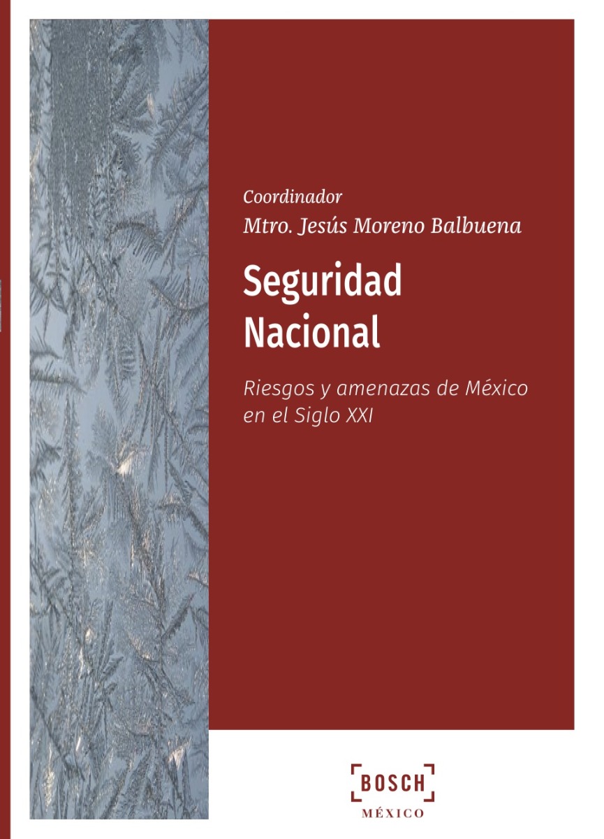 Seguridad nacional. Riesgos y amenazas de México en el siglo XXI-0