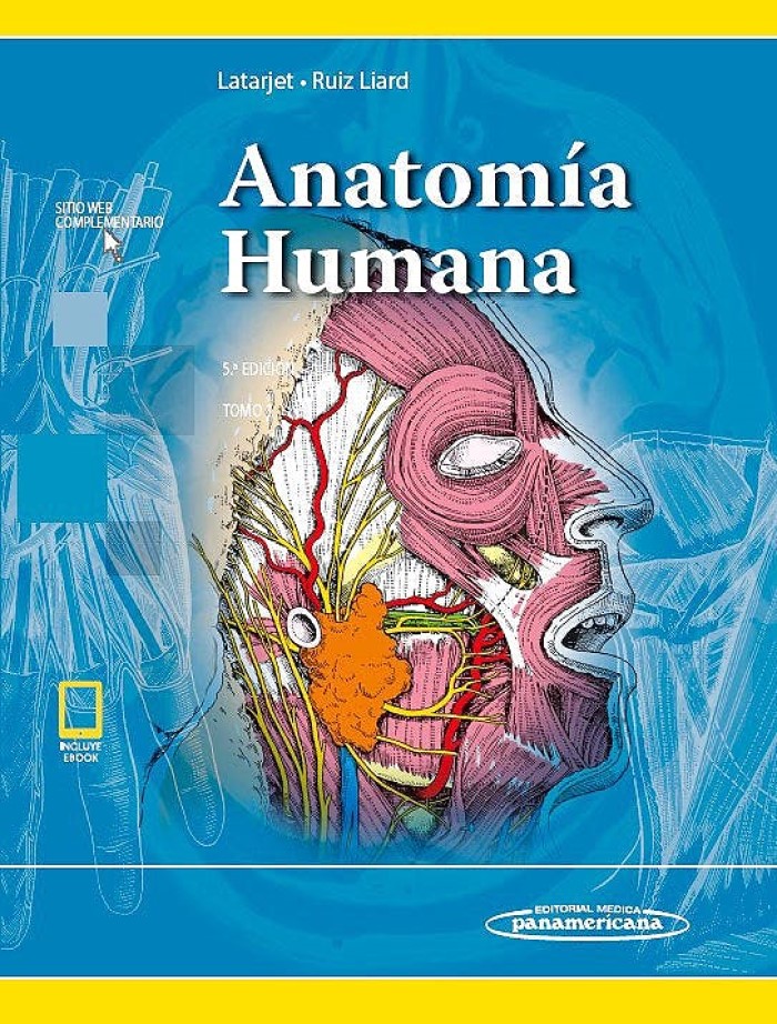 Anatomía Humana -0