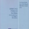 Derecho público global. Fundamentos, actores y procesos-0