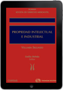 E-Book Summa revista de Derecho Mercantil. Propiedad intelectual e industrial -0