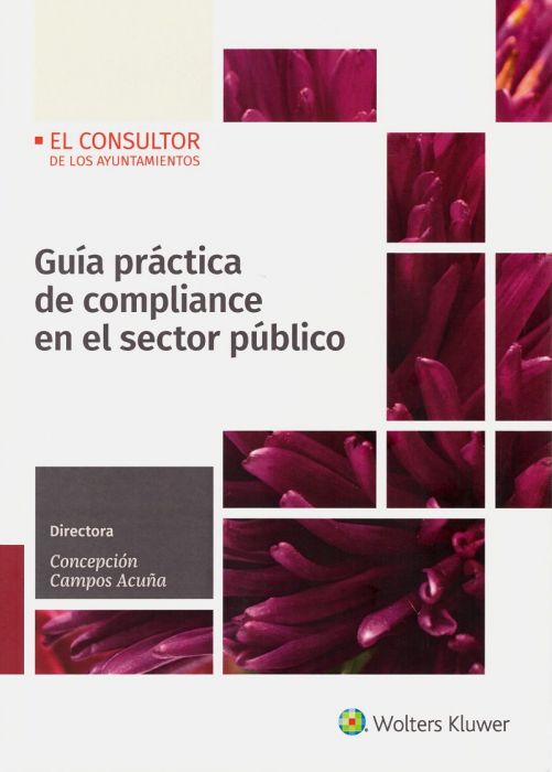 Ebook Guía práctica de compliance en el sector público -0