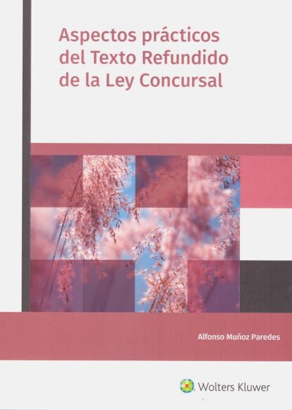 Aspectos prácticos del Texto Refundido de la Ley Concursal