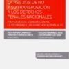 Res 2178 de nu y su transposición a los derechos penales nacionales. Propuesta de equilibrio entre la seguridad y los derechos individuales