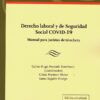 Derecho laboral y de seguridad social COVID-19. Manual para juristas de trinchera-0