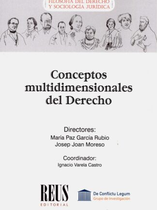 Conceptos multidimensionales del derecho