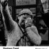 Breve historia del nazismo -0
