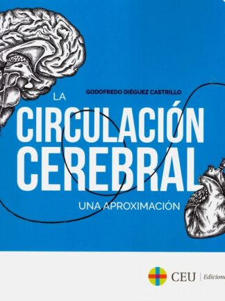 Circulación cerebral. Una aproximación