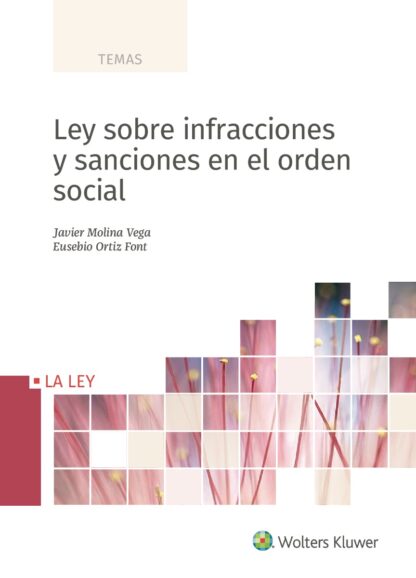 Ley sobre infracciones y sanciones en el orden social