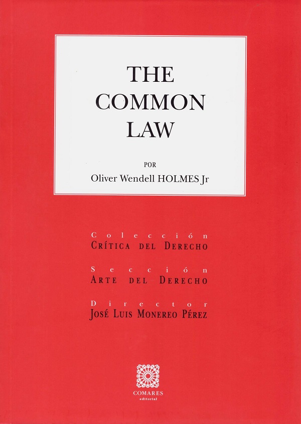 PDF The Common Law 9788413803265