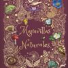 Maravillas naturales -0