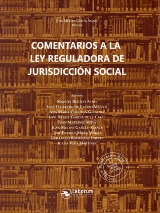 Comentarios a la ley reguladora de jurisdicción social