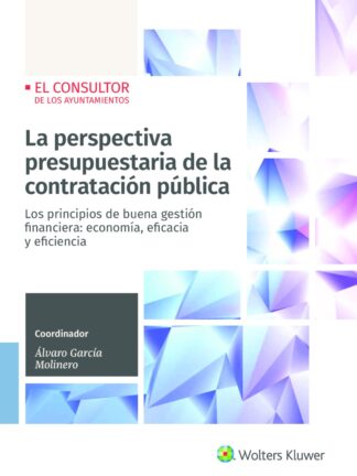 Perspectiva presupuestaria de la contratación pública. Principios de buena gestión financiera: economía, eficacia y eficiencia