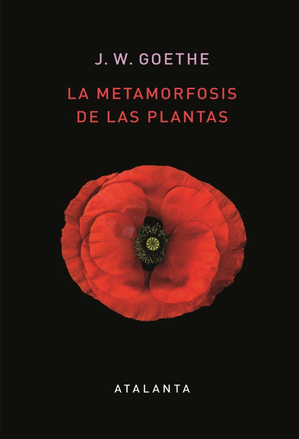 Metamorfosis de las plantas -0