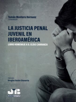 Justicia penal juvenil en iberoamérica. Libro homenaje a D. Elías Carranza