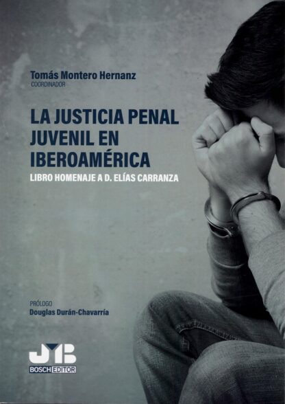 Justicia penal juvenil en iberoamérica. Libro homenaje a D. Elías Carranza