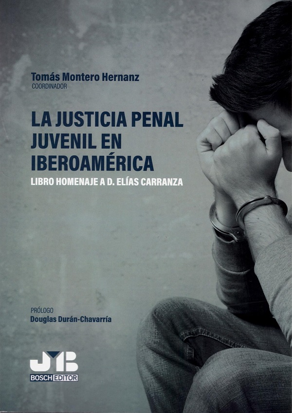 La justicia penal juvenil en iberoamérica. Libro homenaje a D. Elías Carranza-0