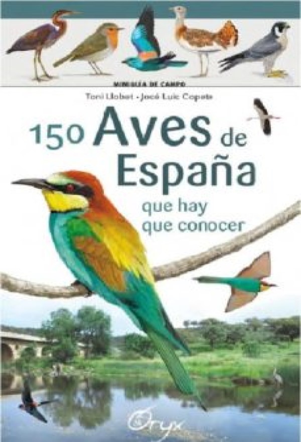 150 aves de España que hay que conocer -0