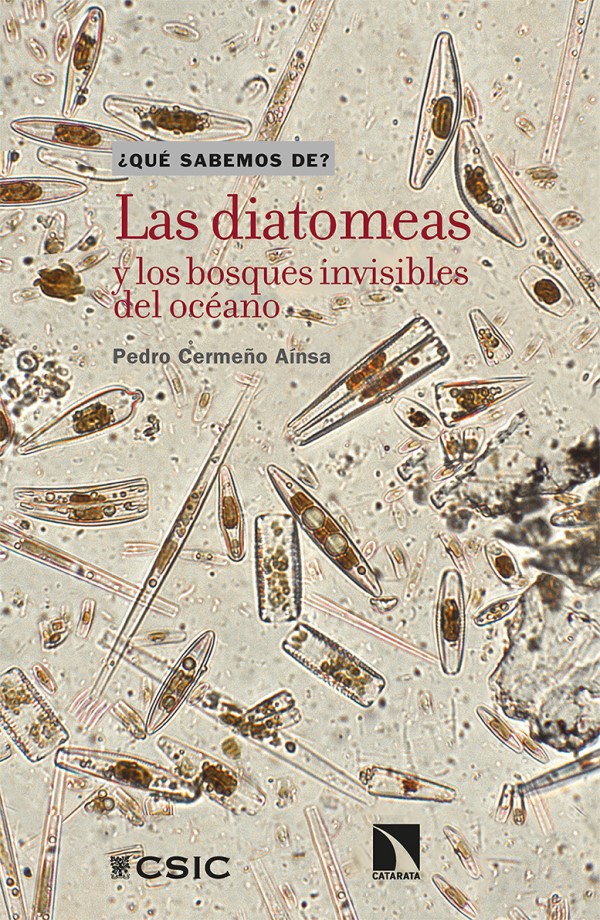Las diatomeas y los bosques invisibles del océano -0