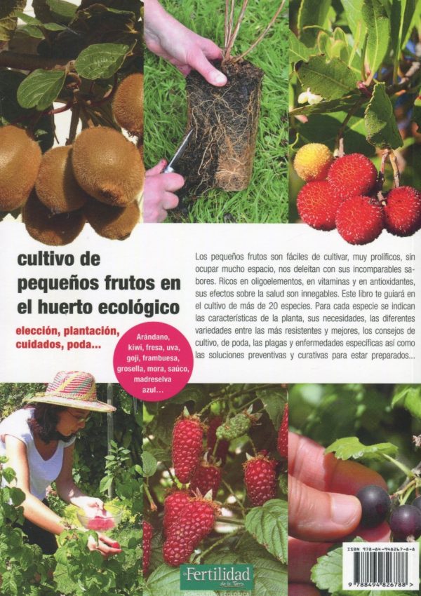 Cultivo de pequeños frutos en el huerto ecológico -57020
