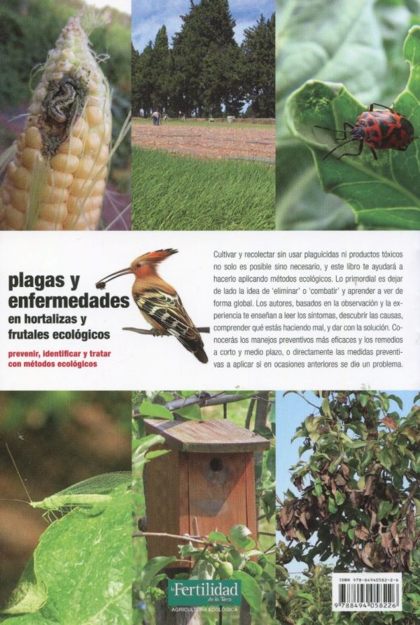 Plagas y enfermedades en hortalizas y frutales ecológicos -57029