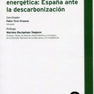 Retos de la transición energética: España ante la descarbonización